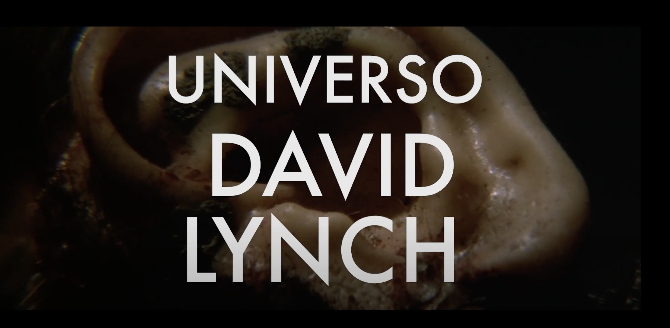 UNIVERSO DAVID LYNCH